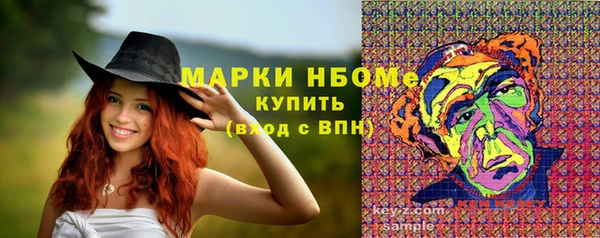 шишки Ладушкин