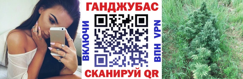 Конопля сатива  Купить  Рыбное 